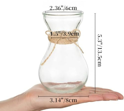 Small Glass Vases for Centerpieces - Hewory 12pcs Clear Mini Hyacinth Avocado Growing Bud Vase Bulk, Cute Tiny Flower Bulb Forcing Plant Containers Set for Wedding Home Living Room Table Decorations