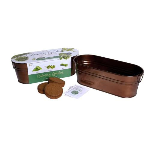 Buzzy Seeds Organic Windowsill Herb Kit - Metal Windowsill Planter - Complete Indoor Gardening Kit with Seeds, Coconut Husk Growing Medium & Genuine Pots - 100% Grow Guarantee - color: Culinary Garden