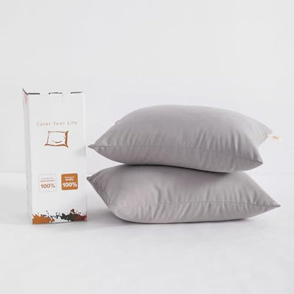 BEDSUM Toddler Pillows 13x18 Microfiber: Travel Inserts, 2 Pack, Light Grey | Soft brushed microfiber, 13x18 size, 2 pillow inserts, machine washable, lightweight for daycare, travel, and home use - color: Light Grey, size: 13x18 inches