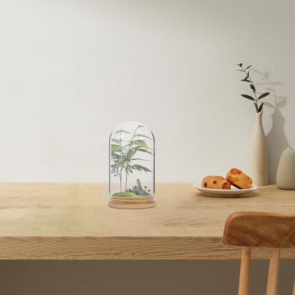 NUOBESTY Glass Cloche with Base Desk Terrarium for Office Hydroponic Vase for Propagation Clear Display Dome for Indoor Plants Tabletop Succulent Planter 4.72 X 2.75 X 2.75 in