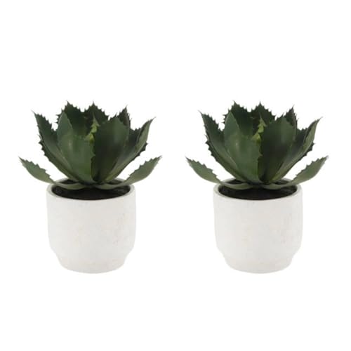 CG Hunter Round Faux Succulent Arrangement, Set-of-2 Premium Artificial Indoor Plants Enhances Interior Design, Display on Any Surface in Your Home Adding an Inviting Touch of Nature, Pots Included - size: 10" Round Set-of-2