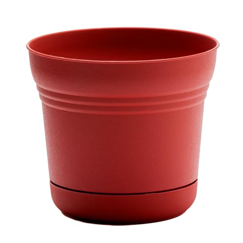 Bloem Saturn Round Planter with Saucer Tray: 10" - Black - Durable Plastic Pot, Matte Finish, Removable Saucer, for Indoor & Outdoor Use, Gardening, 1.5 Gallon Capacity - color: Burnt Red, size: 10"