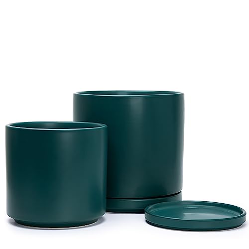 D'vine Dev 2-Pack Ceramic Pots with Saucers, 8/10 in, Teal, 94-G-L-9 | Glazed Ceramic, Drainage Hole, Perfect-Fit Saucer, Sleek Cylinder Shape, High Temperature Fired, Elegant Home Accent - color: Teal, size: Large