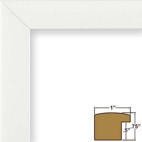 Craig Frames 23247812 12 by 16-Inch White Picture Frame, Single White Collage Mat with 13 Openings - color: 13-Opening School Year Mat - 23247812 Frame