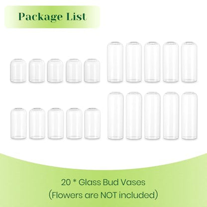 Hewory Glass Bud Vases for Flowers: 20PCS Modern Clear Small Vases Bulk | Centerpieces for Wedding, Party, Events, Floral Arrangement for Home Decor, Tall, Highball, Simple, Medium Bottle
