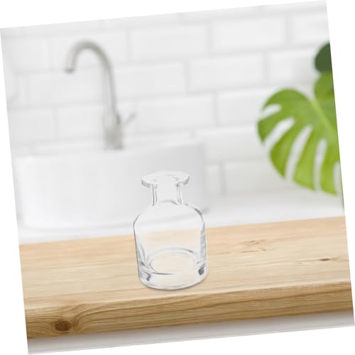 Didiseaon 2pcs Decorative Glass Oil Diffuser Bottles Essential Oil Diffuser Containers Reed Sticks - color: Transparent