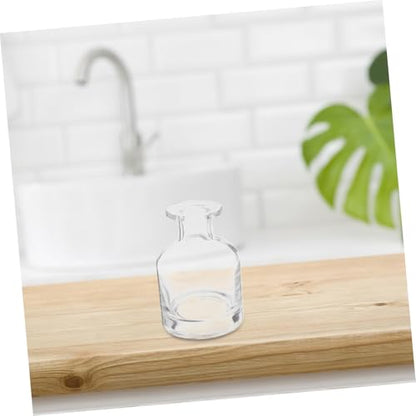 Didiseaon 2pcs Decorative Glass Oil Diffuser Bottles Essential Oil Diffuser Containers Reed Sticks - color: Transparent