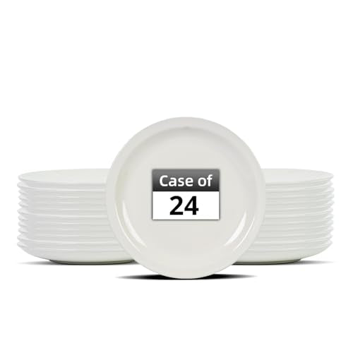 Stoneware Narrow Rim Commercial Grade Dinnerware America White, Plate 9 5/8", Case of 24 - color: America White, size: Plate 9 5/8"
