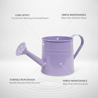 Long Spout Iron Watering Can for Indoor & Outdoor Plants, Durable Metal Design with Precise Flow Control (1 Pack) - color: Purple