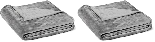 Amazon Basics Soft Fleece Throw Blanket, Ultra-Soft Flannel Fleece Microfiber, Lightweight Warm Cozy for Couch Sofa Bedroom, Fade-Resistant, 50 x 60 Inches, Gray (Pack of 2) - color: Dark Grey, size: 50 x 60 inches (Pack of 2)