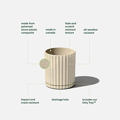Veradek Demi Series Demi 6" Planter w/Tray - Sand, 2 Pack - color: Sand, size: 6 inch - 2 Pack