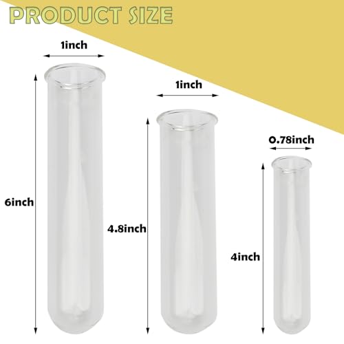 11 Pack Clear Glass Test Tubes Plant Propagation Station, 3 Sizes Wall Hanging and Desktop Glass Plant Propagation Station Hydroponic Vases for Home and Office Decor, Round Bottom