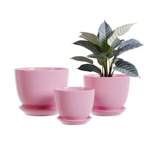 Pink Ceramic Flower Pots,Indoor Decorative Plant Pots Set of 3-4"+5"+6" Inch Small Glazed Succulent Planters with Drainage Hole,Modern Garden Pots with Saucer - color: Pink