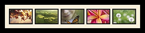 ArtToFrames Collage Photo Frame Single Mat with 5-4x6 Openings with Satin Black Frame and Black mat. - color: 5 - 4x6 - (2139), size: Black