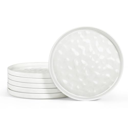 LIANYU Dinner Plates Set of 6, 7.9 Inch Large Ceramic Dessert Plate for Kitchen, Porcelain Serving Dishes for Salad Appetizer Cake Bread, Scratch Resistant, Microwave & Dishwasher Safe, Polar White - color: Polar White, size: 7.9 Inch for 6