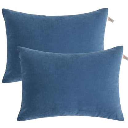 BEDSUM Toddler Pillows 13x18 Microfiber: Travel Inserts, 2 Pack, Denim Blue | Soft brushed microfiber, 13x18 size, 2 pillow inserts, machine washable, lightweight for daycare, travel, and home use - color: Denim Blue, size: 13x18 inches