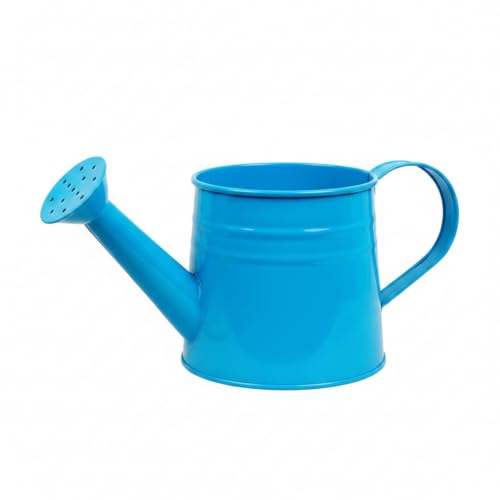 Long Spout Iron Watering Can for Indoor & Outdoor Plants, Durable Metal Design with Precise Flow Control (1 Pack) - color: Blue