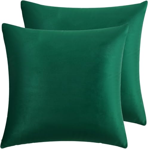 RainRoad Dark Green Throw Pillows Covers Set of 2 Velvet 20x20 Inch | Soft Decorative Pillow Covers for Couch Bed - color: Dark Green, size: 20" x 20" (Pack of 2)