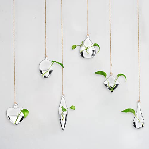 Zopeal 6 Set Wall Hanging Glass Planter Terrarium Propagation Station Vase Container Watering Squeeze Bottle with Rope and Hook for Hydroponic Plants Flower Home Decor Gifts (Classic Style)