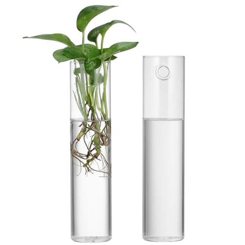 VALICLUD Vases Decor 2pcs Hanging Glass Cylinder Wall Propagation Station Set for Display Glass Tubes Accommodating Floral Compositions Modern Indoor Plants