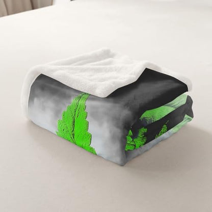 Erosebridal Leaves Flannel Blanket,Leaf Sherpa Blanket, Herb Botanical Bed Blanket for Kid Teens Boys Teens, Grey Grunge Style Plush Blanket, Green Baby 30"x40" - color: Jcxs946, size: Baby(30"x40")