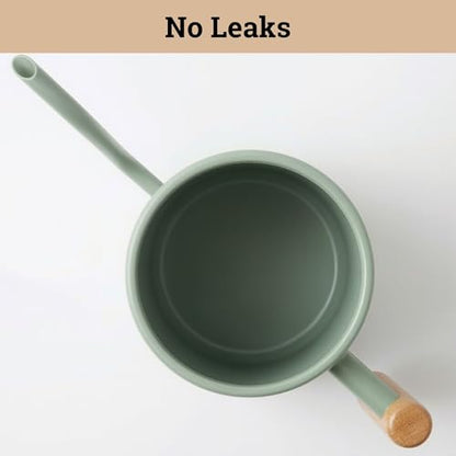 Metal Small Indoor Watering Can with Long Spout & Real Wood Handle, 35oz | Long Spout, Stainless Steel, Real Wood Handle, Gentle Flow, No Spills, Suitable for House Plants, Succulents & Seedlings - color: Sage Green