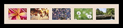 ArtToFrames Collage Photo Frame Single Mat with 5-4x6 Openings with Satin Black Frame and Alabaster mat. - color: 5 - 4x6 - (2139), size: Alabaster