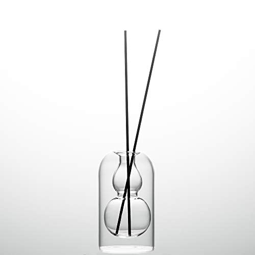 Empty Glass Fragrance Reed Diffuser Bottles,for Essential Oil, with 16pcs Black Reed Sticks,Minimalist Decor,2pcs/Set.