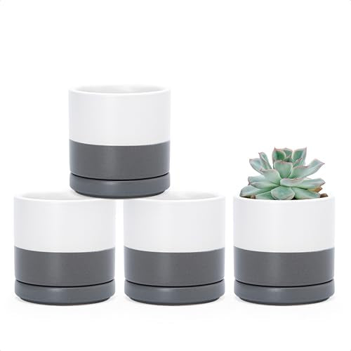 D'vine Dev 4-Pack Ceramic Pots with Saucers, White/Grey, 3.5 in, 94-X-A-6 | Glazed Ceramic, Drainage Hole and Saucer, Sleek Cylinder Shape, High Temperature Fired, Ideal for Small Houseplants - color: White/Speckled Grey, size: 3.5 Inch