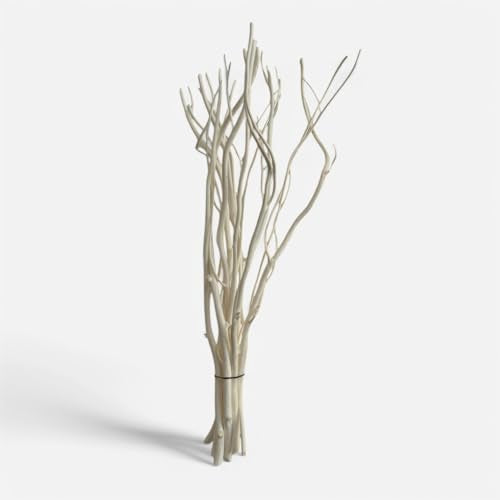 Willow Branch Diffuser Reeds, 25pcs, 10.5 inches, Natural Wooden Reed Diffuser Sticks, Decorative Branches, Essential Oil, Aromatherapy, Natural Home Decor (White)