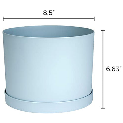 Bloem Mathers Planter w/Saucer Tray 8" Misty Blue (Pack of 3) - color: Misty Blue, size: 8" (Pack of 3)