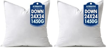 MIULEE 24x24 Down Alternative Pillow Insert Euro Decorative Throw Pillow 24 x 24 Inch Body Bed Sleeping Ultra Soft Fluffy Form for Sofa Couch Bed (Pack of 2) - size: 24x24Inch (pack of 2)