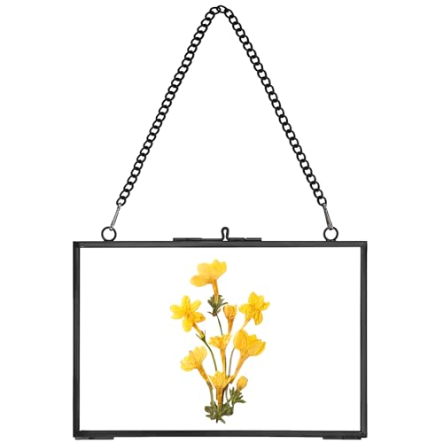 REDHUGO Hanging Pressed Flower Frame Handmade, Black, 4×6 inches | Double Glass Picture Frame Floater frame Floating Frame for Pressed Flowers Home Wall Artwork, Rectangle Horizontal - color: Black, size: 6L" x 4W"