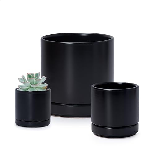 D'vine Dev 3-Pack Ceramic Pots with Saucers, 3/4/6 in, Black, 94-T-S-2 | Glazed Ceramic, Drainage Hole, Perfect-Fit Saucer, Sleek Cylinder Shape, High Temperature Fired, Elegant Home Accent - color: Black, size: 3"+4"+6"
