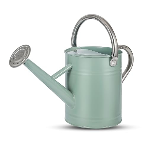 1 Gallon Watering Can for Plants, Watering Cans for Indoor&Outdoor Gardening, Galvanized Steel Watering Pot with Removable Spout, Metal Water Can with Ergonomic Movable Handle(Cream Green) - color: Cream Green