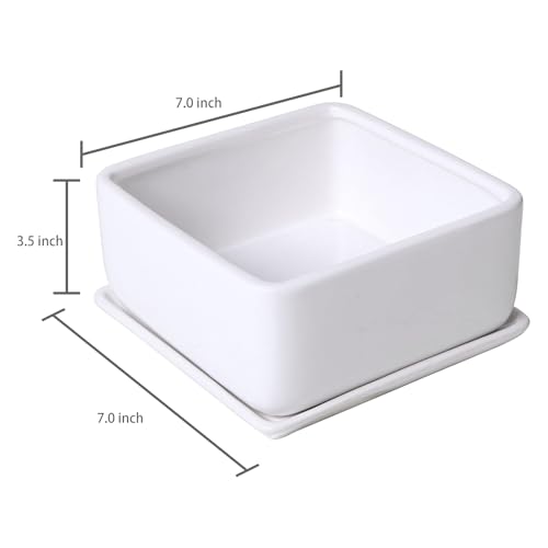 MyGift White Ceramic Square Planter Pot with Drainage Hole & Drip Tray | Suitable for Succulents, Cactus, Herbs, Bonsai, Houseplants & Floral Arrangements - color: White