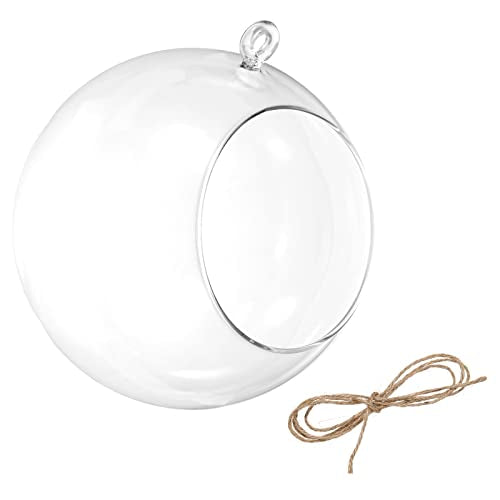 PATIKIL Round Globe Terrarium Air Plant Planter, 6.3 Inch High Borosilicate Glass Hanging Decorations for Succulent, Tillandsia, Clear - size: 6.3 Inch