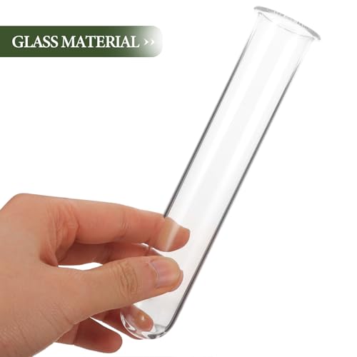 4Pcs Hydroponic Glass Tube Vases for Plant Propagation | Clear Glass Design, for Flower Arrangement, Desktop Shelf Bedside Decor, 15 x 3 cm Size