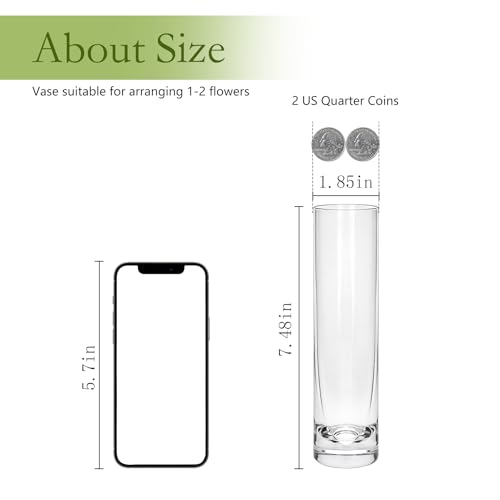 7.48 inch Tall Vases for Flowers,12PCS Glass Cylinder Vase,Bud Vase | Single Rose Bud Vase for Event Decor,Bud Vases in Bulk for Wedding Centerpieces,Home Aesthetic Desk Decor,Party Decorations