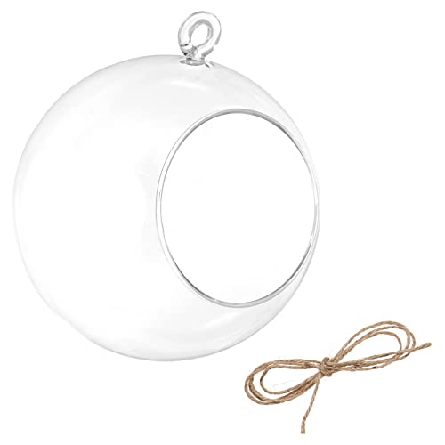 PATIKIL Round Globe Terrarium Air Plant Planter, 5.4 Inch High Borosilicate Glass Hanging Decorations for Succulent, Tillandsia, Clear - size: 5.4 Inch