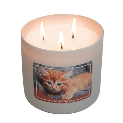 Colonial Candle Purrfectly Cozy Scented Jar Candle, 14 oz - Warm & Comforting Fragrance, Long-Lasting Burn, Made in The USA - color: Purrrfectly Cozy