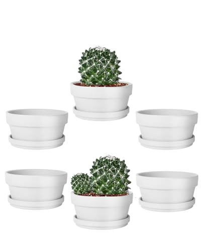 5.7 Inch White Terracotta Shallow Succulent Pots - 6 Pack Terra Cotta Clay Pot with Saucer, Cacuts Indoor and Outdoor Planters with Drainage Hole - color: White, size: 5.7 Inch
