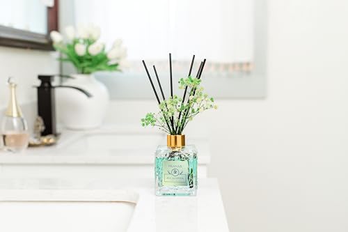 PEANÄK Set of 2 - Eucalyptus Mint Fragrance Oils - Reed diffusers 6.7oz (200ml) 2 Pack of Long Lasting Scents for Home & Office,Living Room & Bathroom Shelf Decor and Gifts - size: 6.7 Ounce/2pack