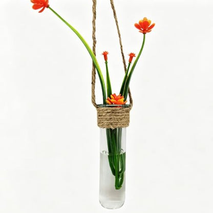 Propagation Tube, with Wall Mounted Design, 4 Piece Glass Plant Tubes | Clear Wall Terrarium, Hydroponic Plant Holder, for Home Décor