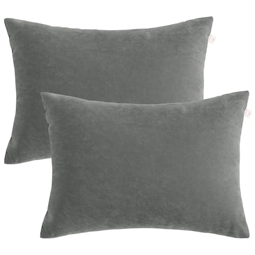 BEDSUM Toddler Pillows 13x18 Microfiber: Travel Inserts, 2 Pack, Dark Grey | Soft brushed microfiber, 13x18 size, 2 pillow inserts, machine washable, lightweight for daycare, travel, and home use - color: Dark Grey, size: 13x18 inches