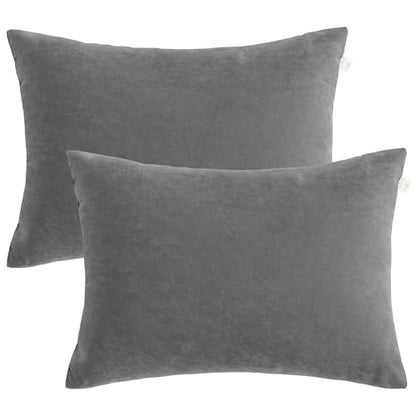 BEDSUM Toddler Pillows 13x18 Microfiber: Travel Inserts, 2 Pack, Dark Grey | Soft brushed microfiber, 13x18 size, 2 pillow inserts, machine washable, lightweight for daycare, travel, and home use - color: Dark Grey, size: 13x18 inches