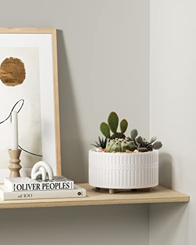 LE TAUCI Succulent Pots, 6.5+8 Inch Ceramic Indoor Plant Pot with Drainage Hole, Shallow Round Succulent Planters, Set of 2, Matte White - color: White