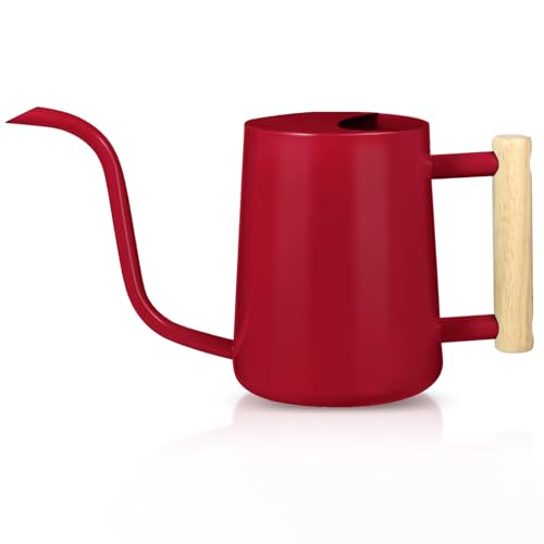 Watering Can Indoor Plants, 35oz Small Stainless Steel Metal Watering Can Modern Decorative Watering Pot with Long Spout for Indoor House Plant Bonsai Garden Flowers (Red) - color: Red