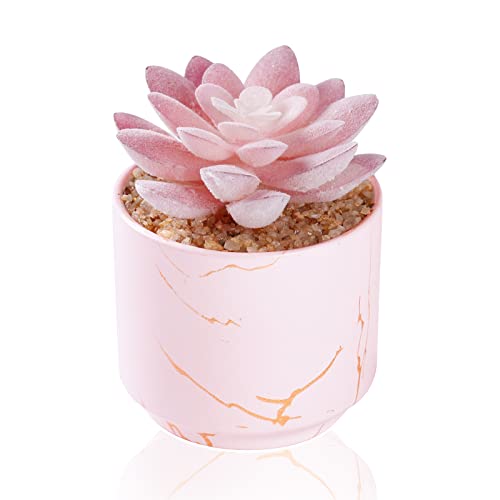 ZENIDA Succulent Artificial Plants,Cute Fake Succulents in 1 Pink Ceramic Pots,Small Fake Plants for Office,Table,Desk,Bathroom, Bedroom,Aesthetic Room Shelves Decor,Desk Decorations for Women Office - color: Pink