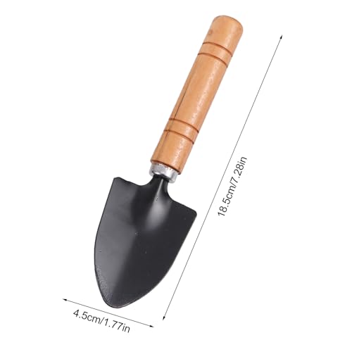 jojofuny 10pcs Succulent Garden Tools Set with Mini Shovel, Tweezers, Spray Bottle and Brush for Indoor Planting and Bonsai Care